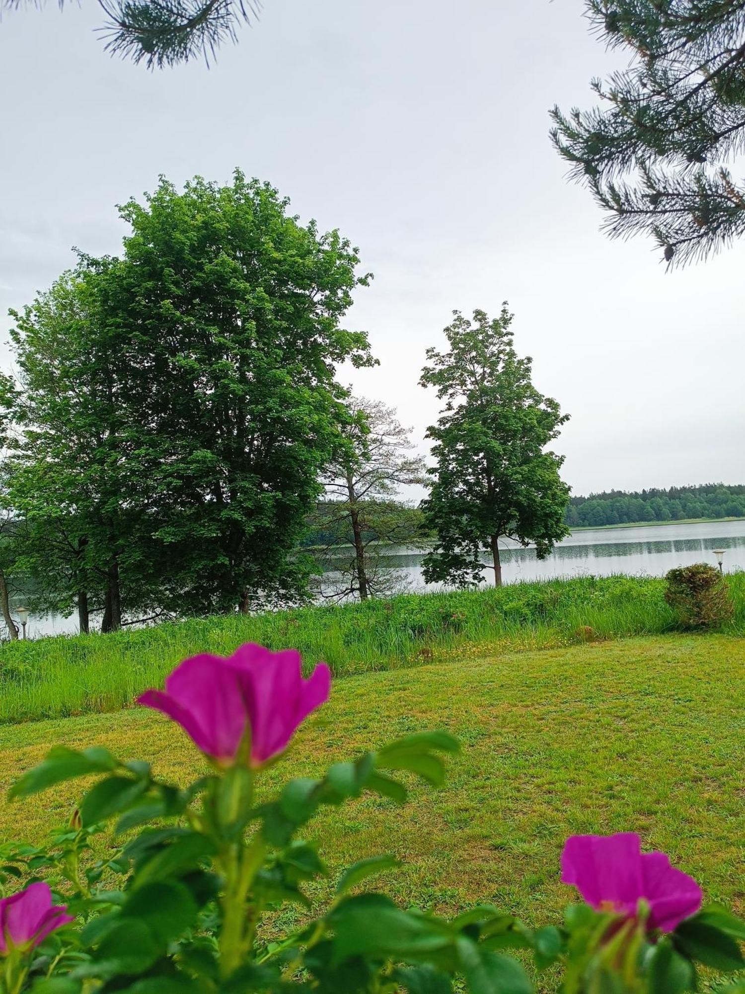 Mazurski Letniskowy Nad Jeziorem Goldap