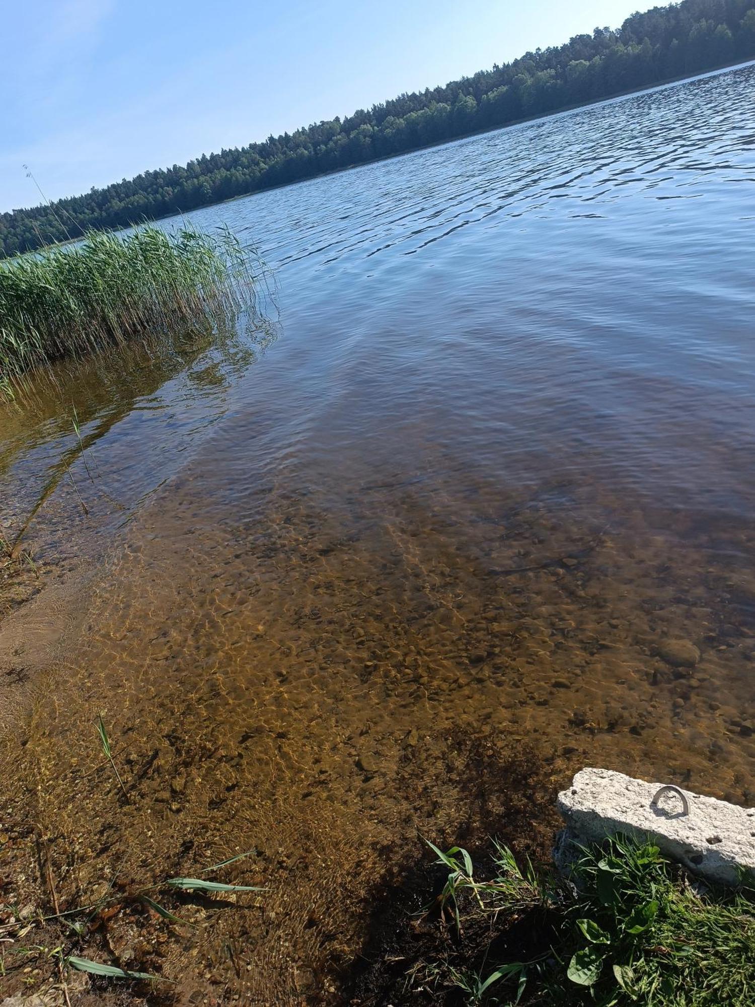 Mazurski Letniskowy Nad Jeziorem * Goldap